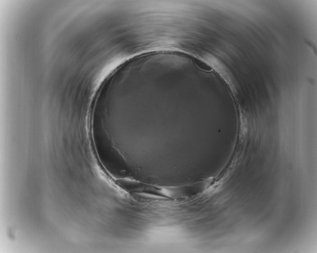 X0000102490958200808151453