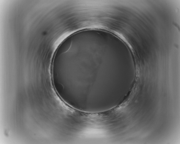 X0000102490959200808151453