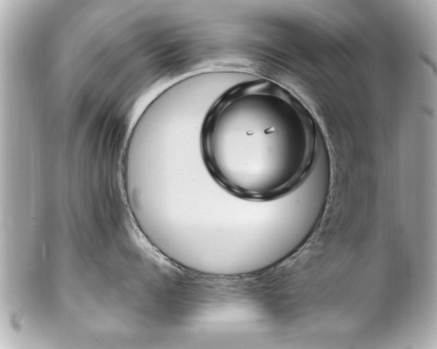 X0000102490960200808151453