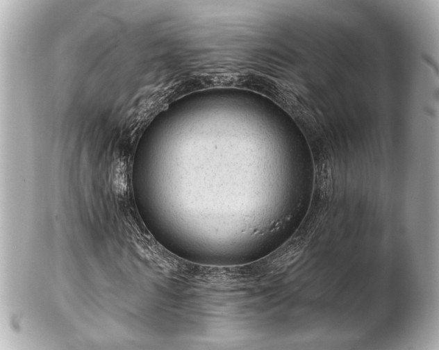 X0000102490962200808151452