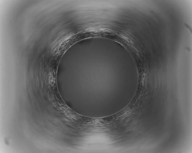 X0000102490966200808151452