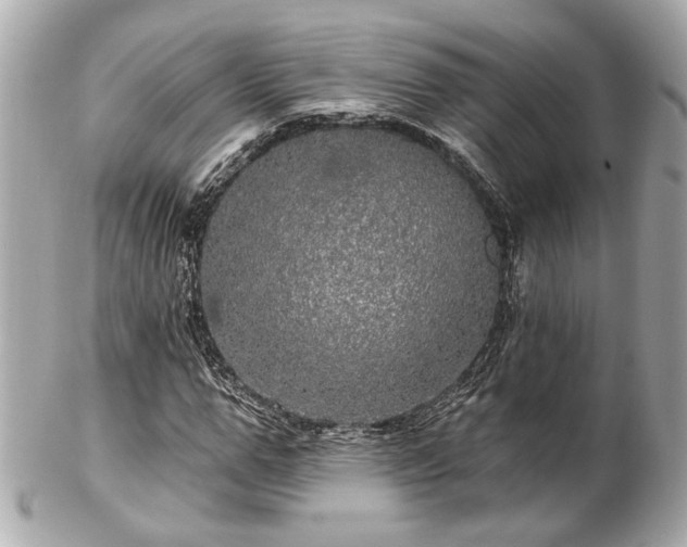 X0000102490967200808151452