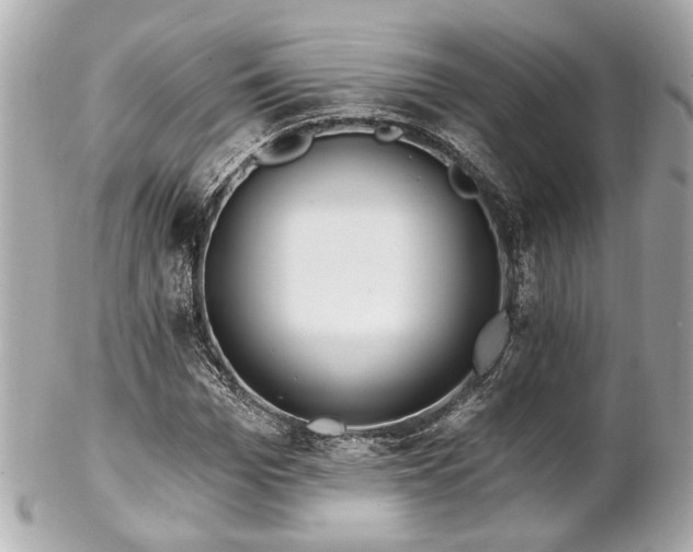 X0000102490969200808151452