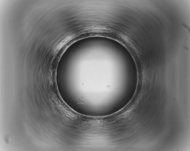 X0000102490970200808151452