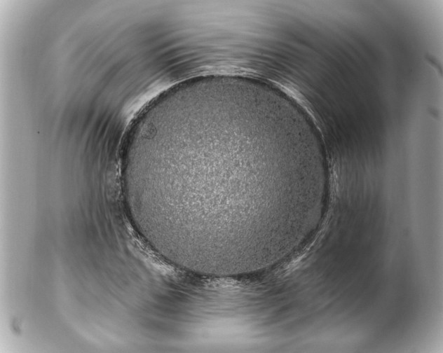 X0000102490971200808151452