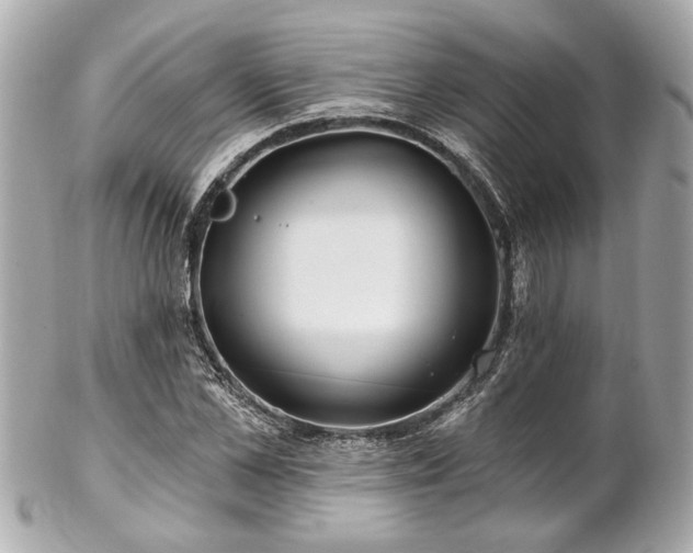 X0000102490973200808151452