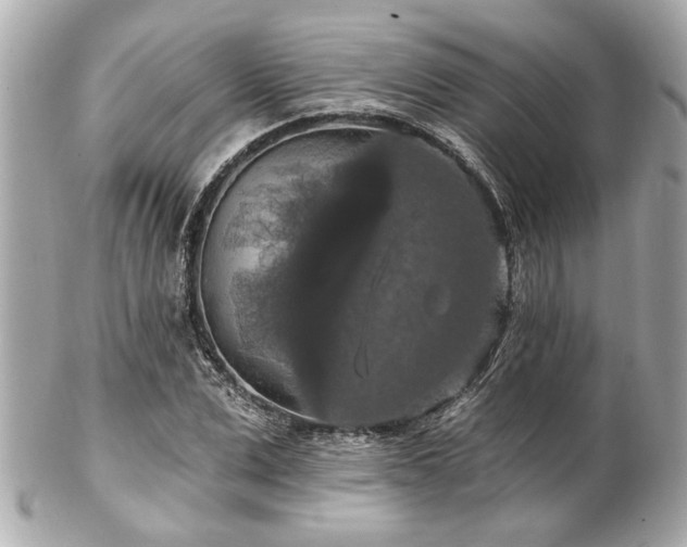 X0000102490975200808151452