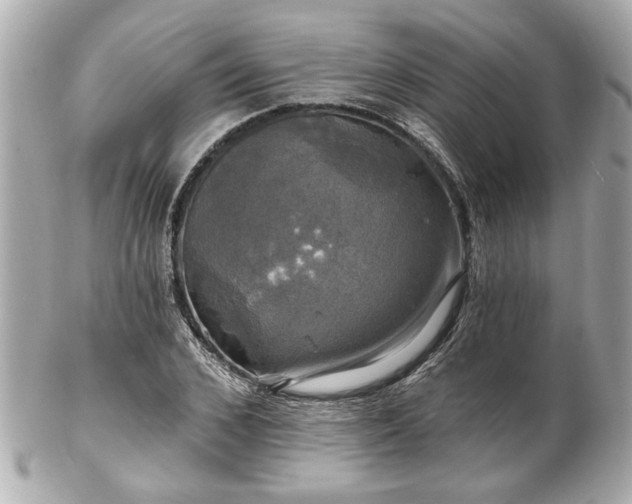 X0000102490976200808151452