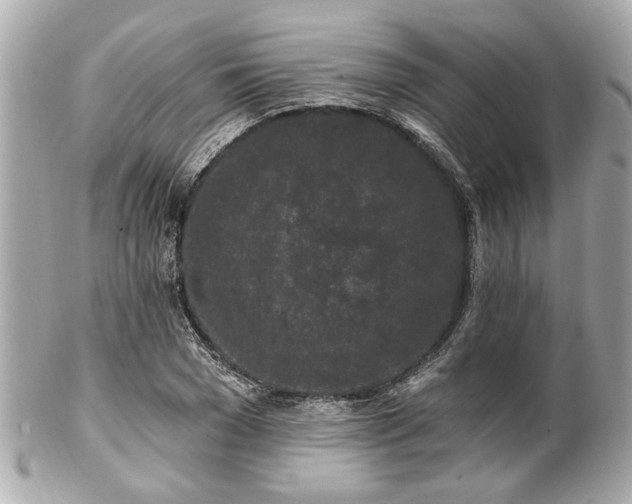 X0000102490977200808151452