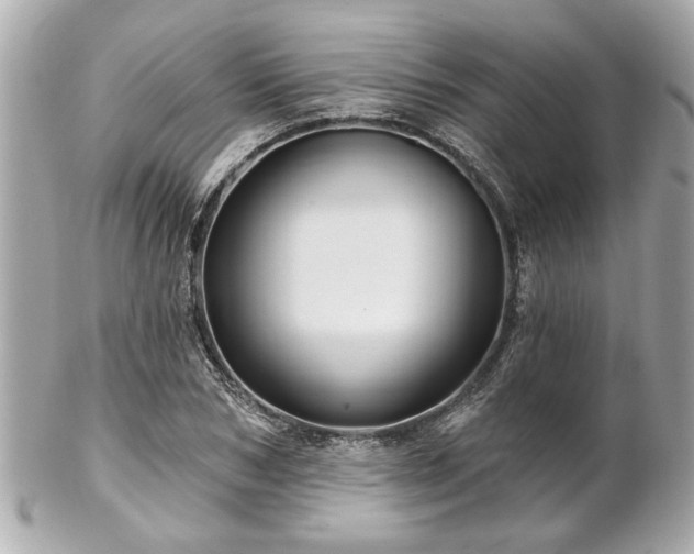 X0000102490978200808151452