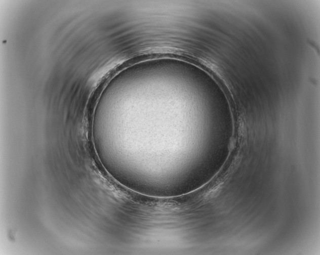 X0000102490979200808151452