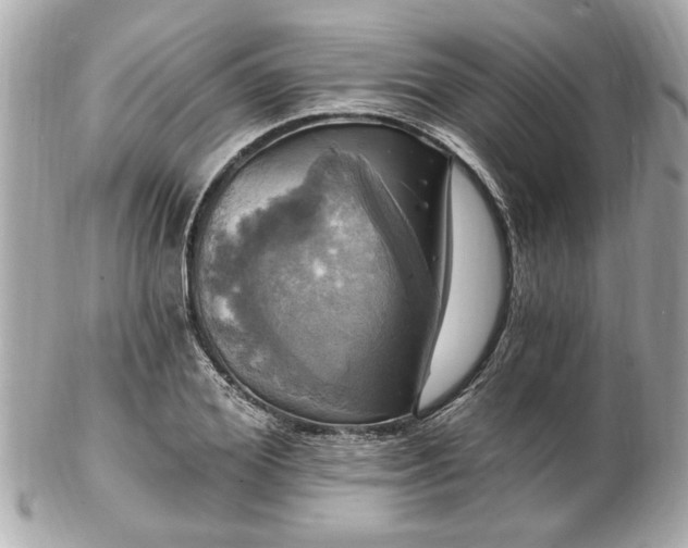 X0000102490980200808151452