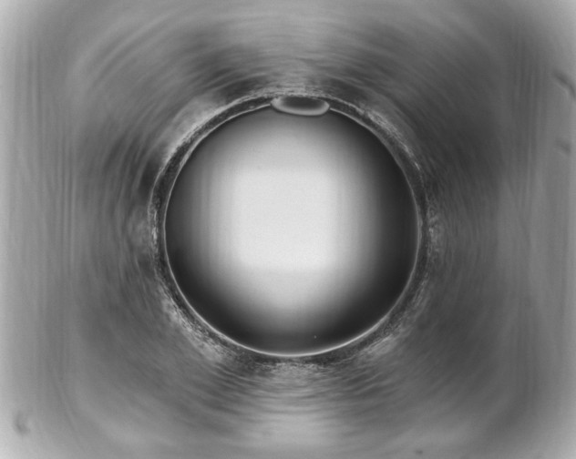 X0000102490981200808151452