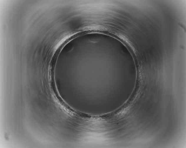 X0000102490983200808151452