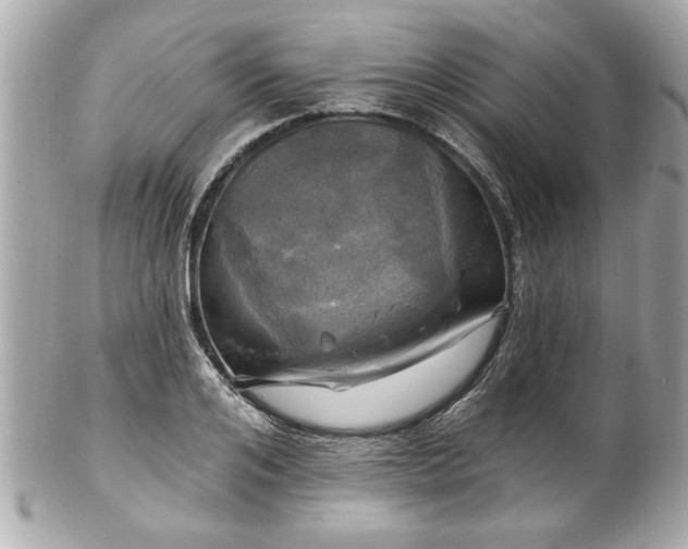 X0000102490984200808151452