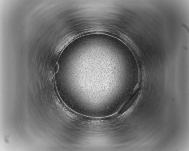 X0000102490985200808151452