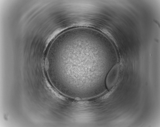 X0000102490989200808151452