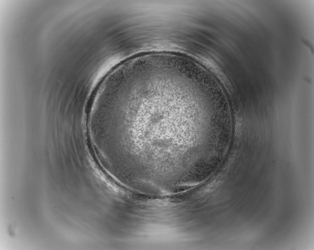 X0000102490990200808151452