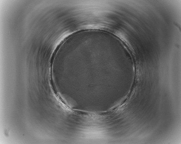 X0000102490992200808151452