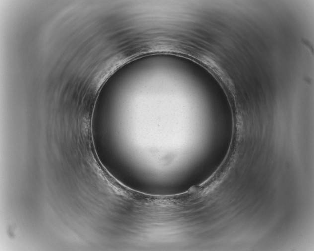 X0000102490993200808151452