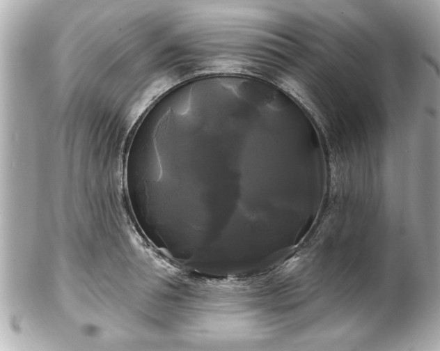 X0000102490994200808151452