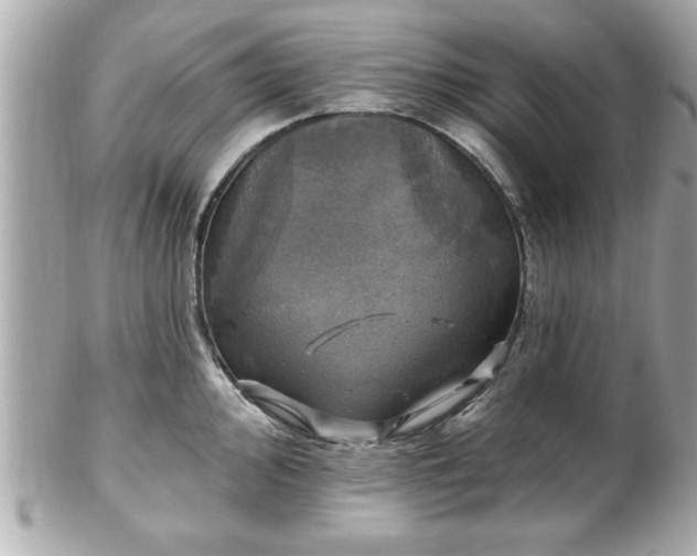 X0000102491000200808151452