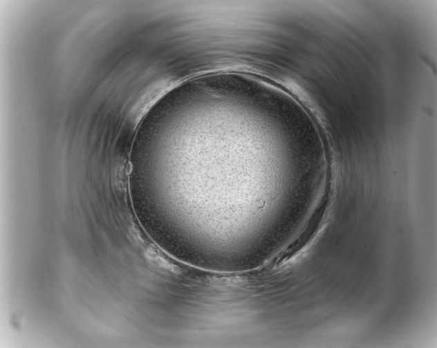 X0000102491001200808151452