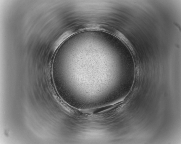 X0000102491002200808151452