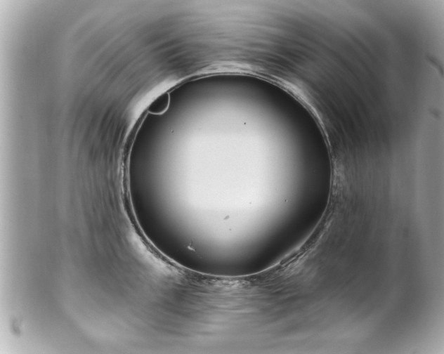 X0000102491003200808151452