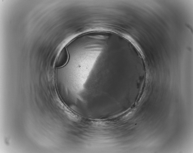 X0000102491004200808151452