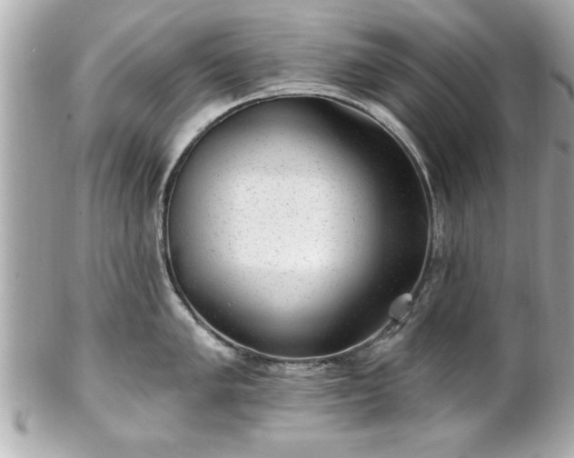 X0000102491005200808151452