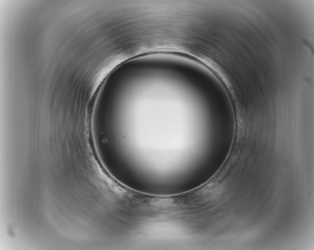 X0000102491006200808151452