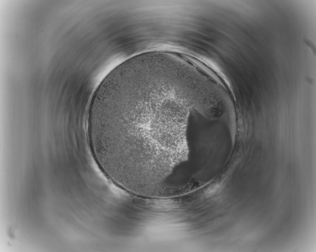 X0000102491007200808151451