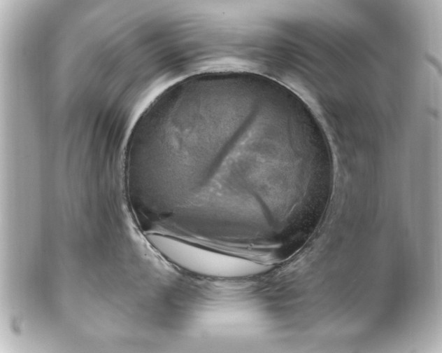 X0000102491008200808151451