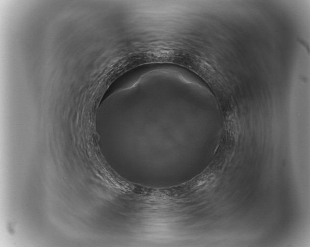 X0000102491009200808151451