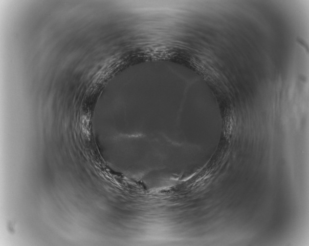 X0000102491010200808151451