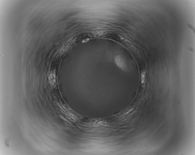 X0000102491011200808151451