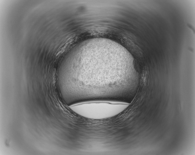 X0000102491012200808151451