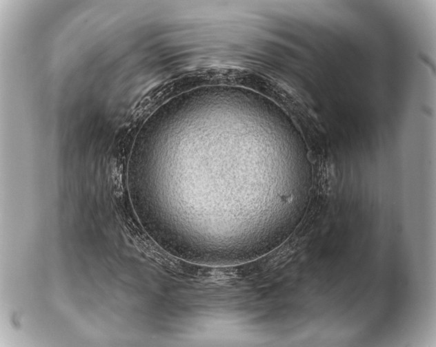 X0000102491013200808151451