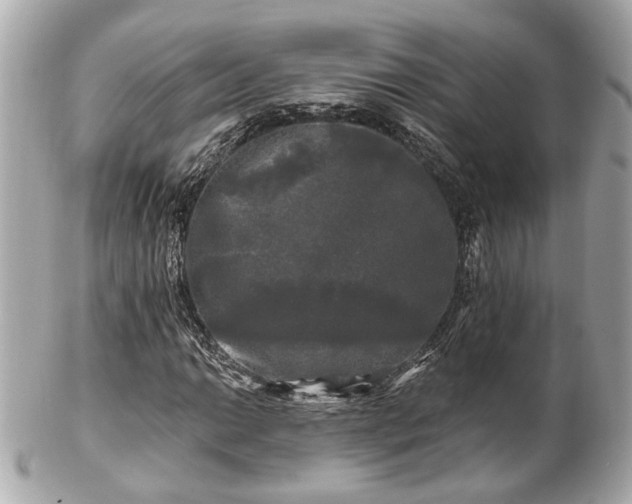 X0000102491014200808151451