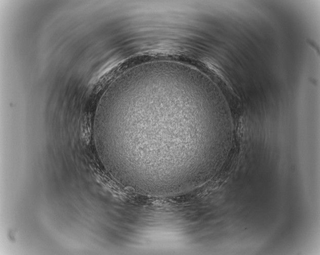 X0000102491015200808151451