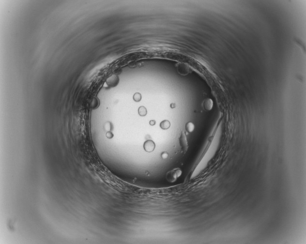 X0000102491016200808151451