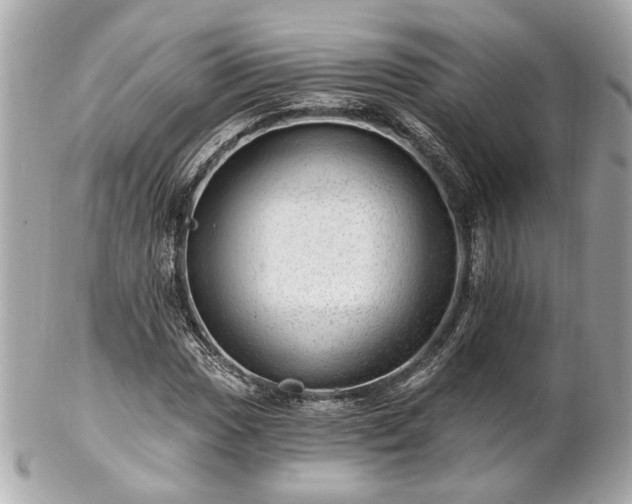 X0000102491017200808151451