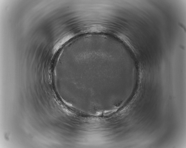 X0000102491018200808151451