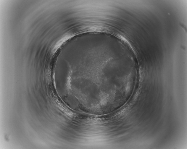 X0000102491019200808151451