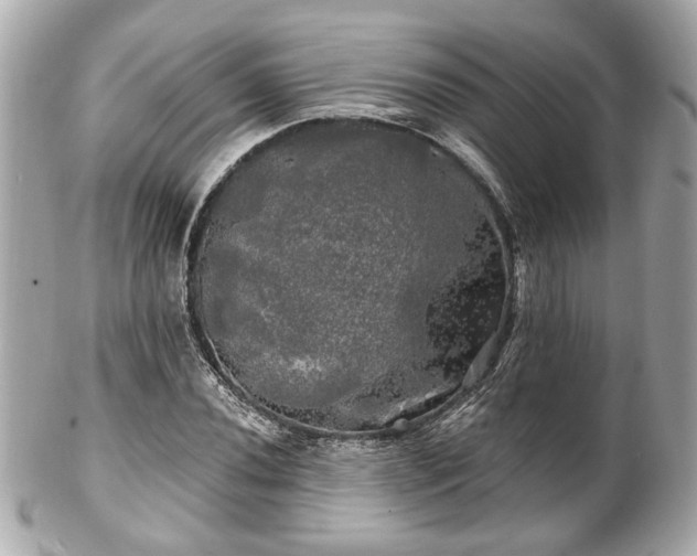 X0000102491020200808151451