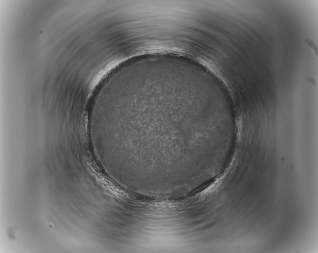 X0000102491021200808151451