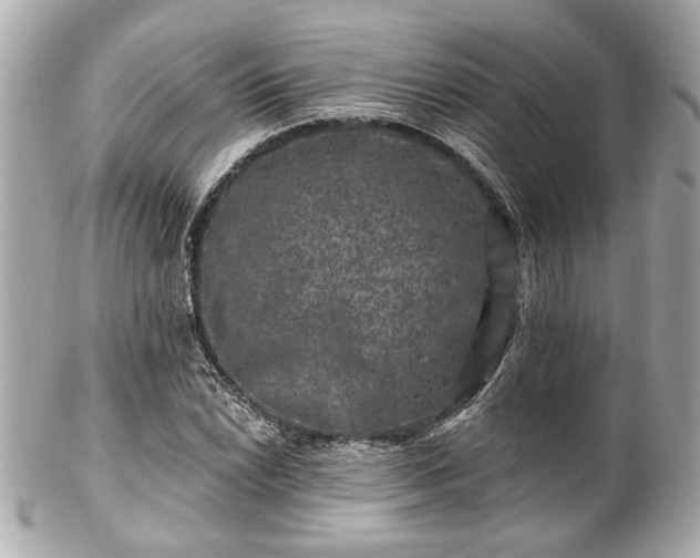 X0000102491022200808151451