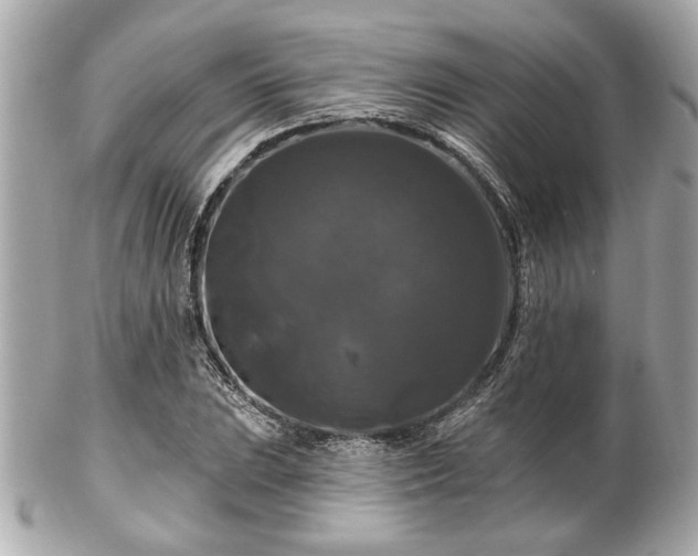 X0000102491023200808151451