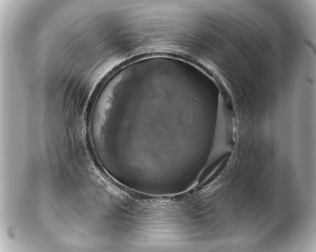 X0000102491024200808151451